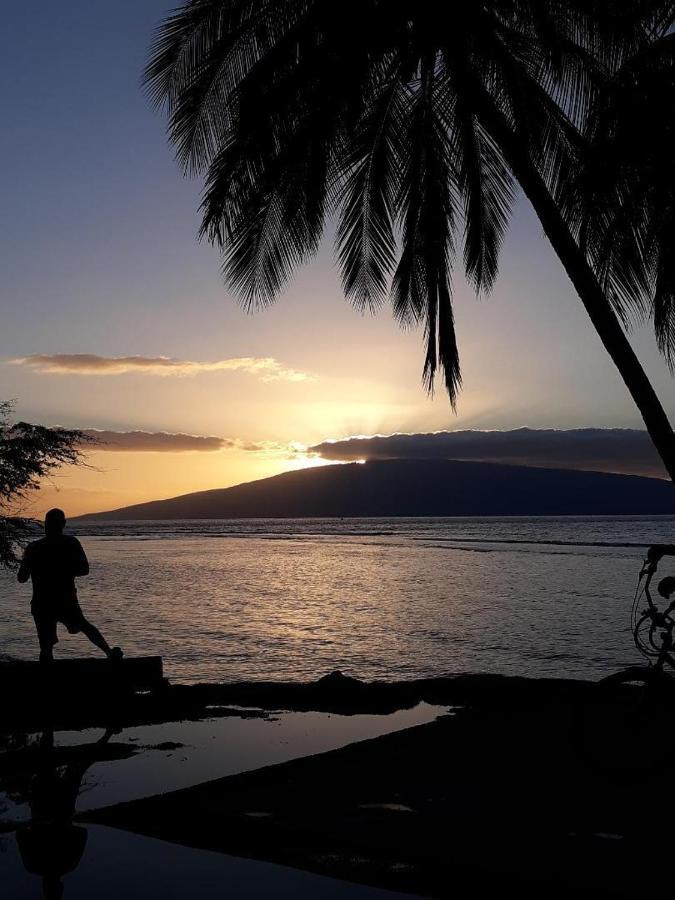 Deluxe Oceanview Maui Studio..New & Updated Kahana Esterno foto